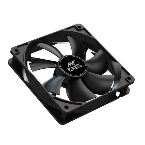 fan-4.webp