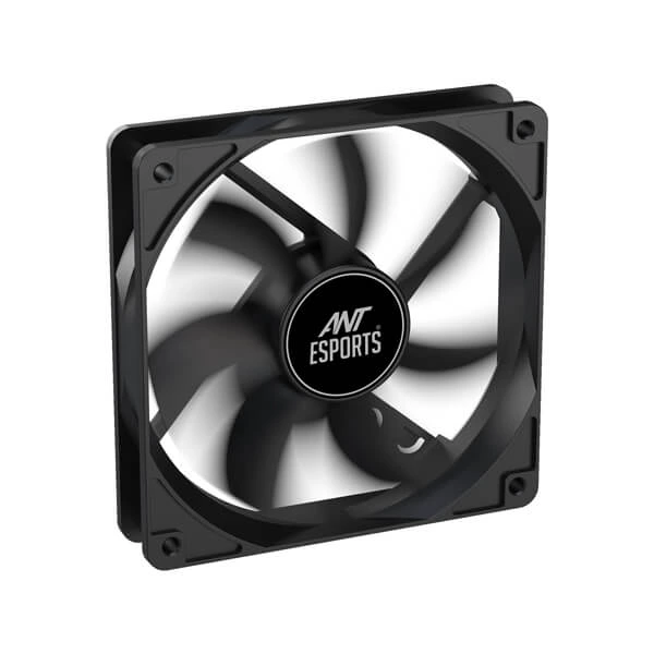 fan-2.webp